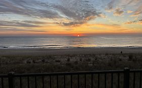 Golden Surf